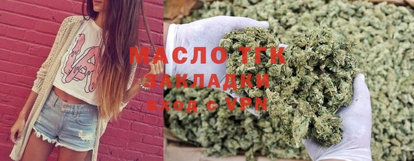 прущие крисы Каменка