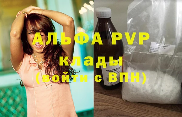 прущие крисы Каменка