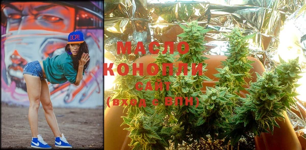 прущие крисы Каменка
