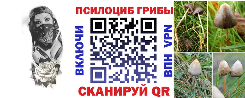 Галлюциногенные грибы Cubensis  купить наркоту  Арзамас 